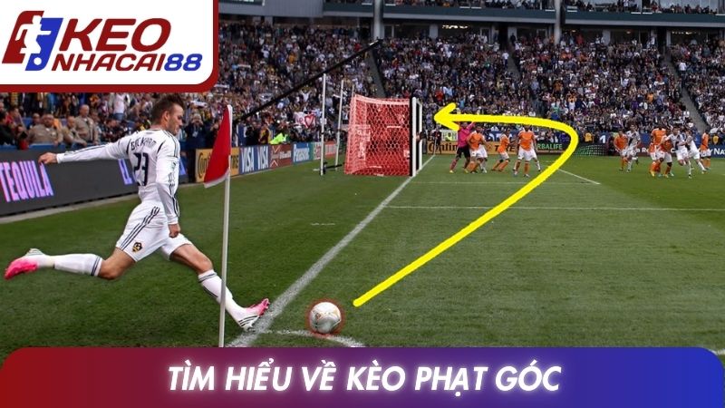 Kèo Phạt Góc: Luật Tính, Phân Loại Và Kinh Nghiệm Theo Dõi 2 Tìm hiểu về kèo phạt góc