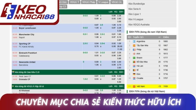 Chuyên mục chia sẻ kiến thức cá cược hữu ích