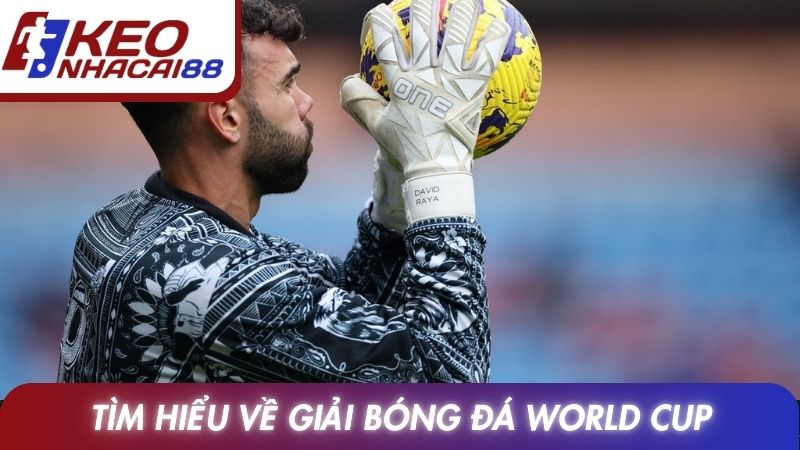 FIFA World Cup 11 Tìm hiểu về giải bóng đá World Cup