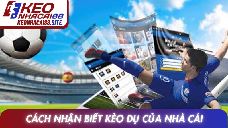Cách nhận biết kèo dụ của nhà cái và bí quyết tối ưu lợi nhuận 1 Cách nhận biết kèo dụ của nhà cái và bí quyết tối ưu lợi nhuận